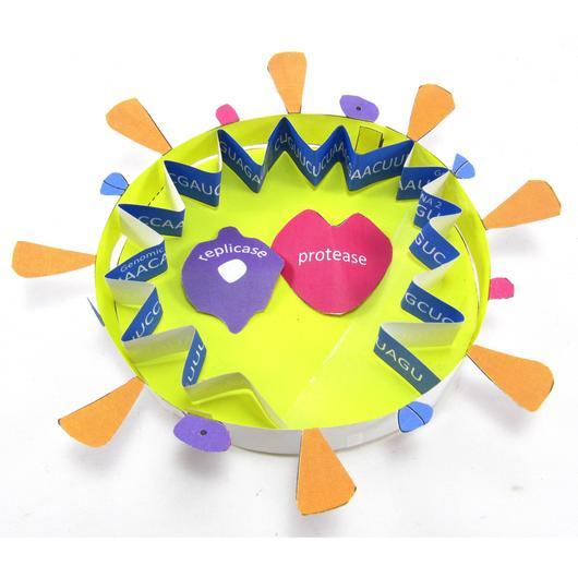 Coronavirus COVID-19