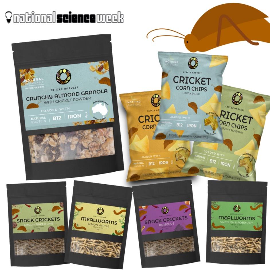 Edible Insect Pack of 8